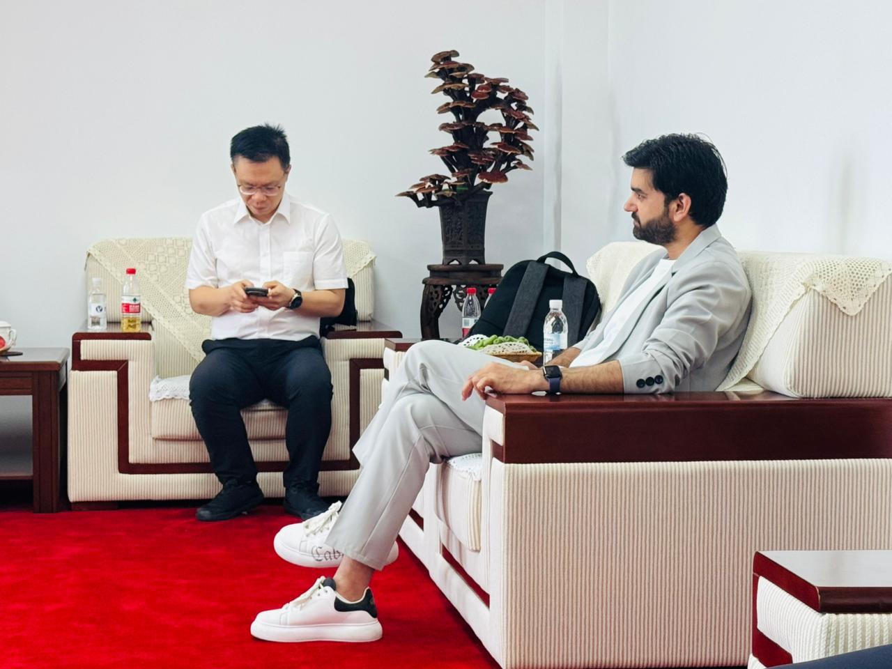 Strategic Executive Briefing & Consultation